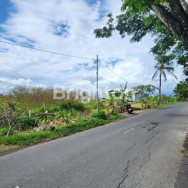 image TANAH PREMIUM DI KAWASAN KOMERSIAL & JALAN UTAMA PANTAI SESEH MUNGGU, BADUNG - BALI (3)