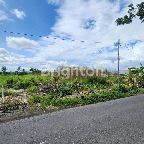 image TANAH PREMIUM DI KAWASAN KOMERSIAL & JALAN UTAMA PANTAI SESEH MUNGGU, BADUNG - BALI (4)