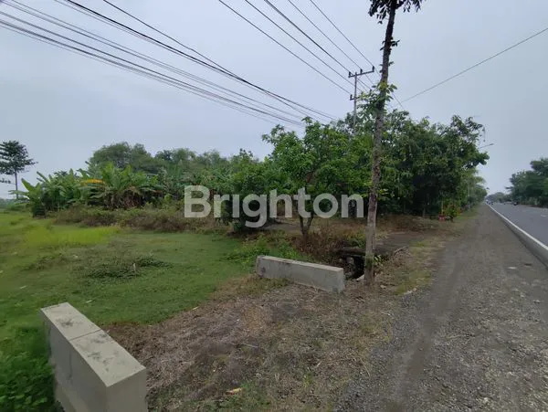 image TANAH STRATEGIS 2.194M² DI RAYA NGAWI CARUBAN DEKAT KOTA MADIUN (2)