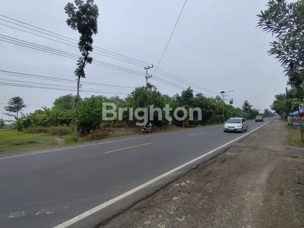 image TANAH STRATEGIS 2.194M² DI RAYA NGAWI CARUBAN DEKAT KOTA MADIUN (3)