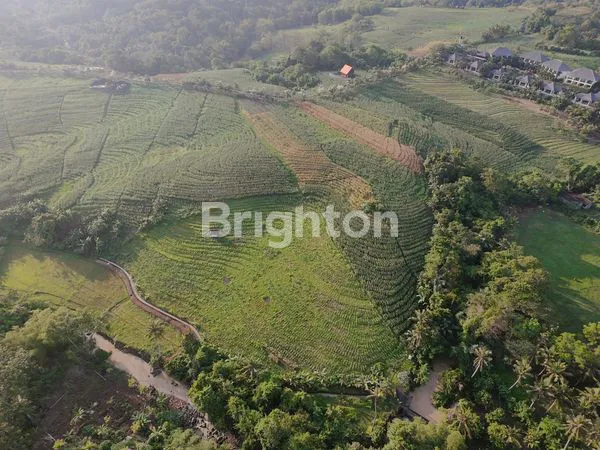 image DIJUAL TANAH SHM 27 ARE PERUNTUKAN VILLA JARAK 5 MENIT DARI PANTAI DI SELEMADEG TABANAN (2)