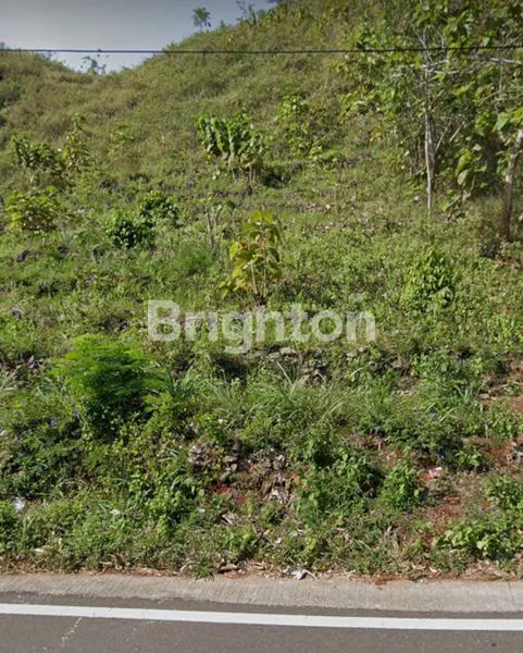 image TANAH PREMIUM PINGGIR JALAN UTAMA LOJI DRINI GUNUNG KIDUL (6)