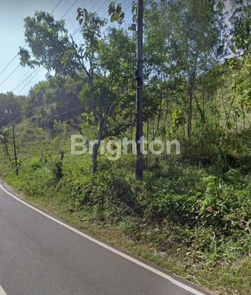 image TANAH PREMIUM PINGGIR JALAN UTAMA LOJI DRINI GUNUNG KIDUL (7)