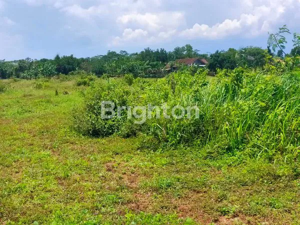 TANAH STRATEGIS UNTUK INDUSTRI & PERGUDANGAN TEPI JALAN DI KAB PEKALONGAN