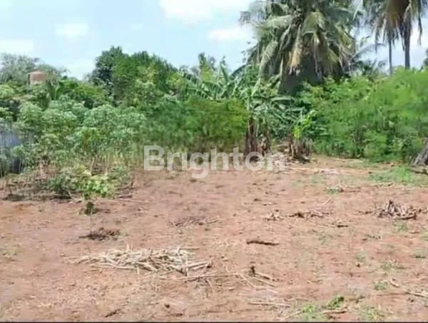 image TANAH KAVLING LUAS SIAP BANGUN PERUMAHAN DI GANJAR AGUNG - LAMPUNG (3)