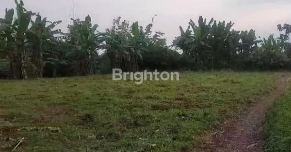 image TANAH STRATEGIS DI CIBADAK DEKAT TOL BOCIMI (1)
