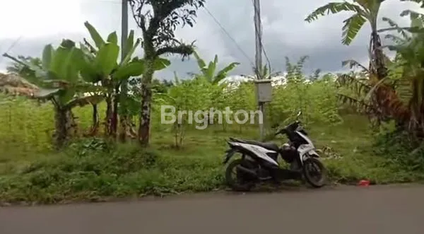 image TANAH STRATEGIS DI CIBADAK DEKAT TOL BOCIMI (8)