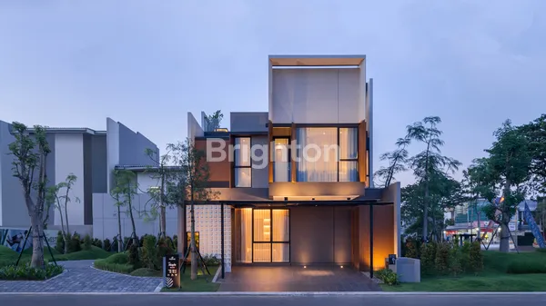 image DEMPSEY HILL MAPLE (1)