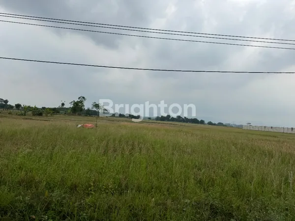 image TANAH 12 HEKTAR DI SUBANG  JAWA BARAT LOKASI STRATEGIS, ZONA INDUSTRI, SHM, HARGA MENARIK! (1)