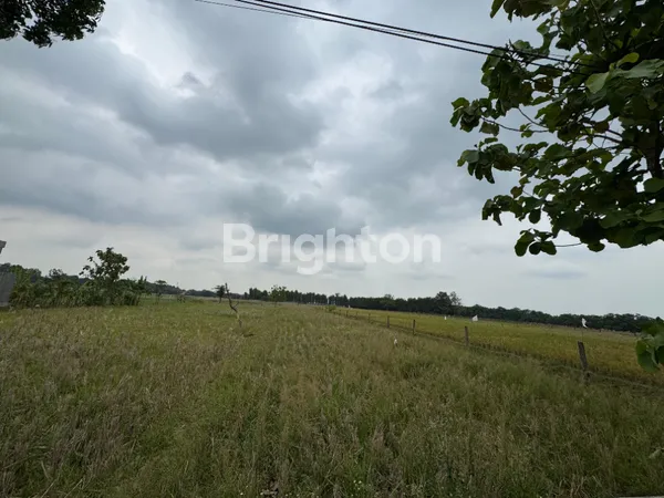 image TANAH 12 HEKTAR DI SUBANG  JAWA BARAT LOKASI STRATEGIS, ZONA INDUSTRI, SHM, HARGA MENARIK! (4)