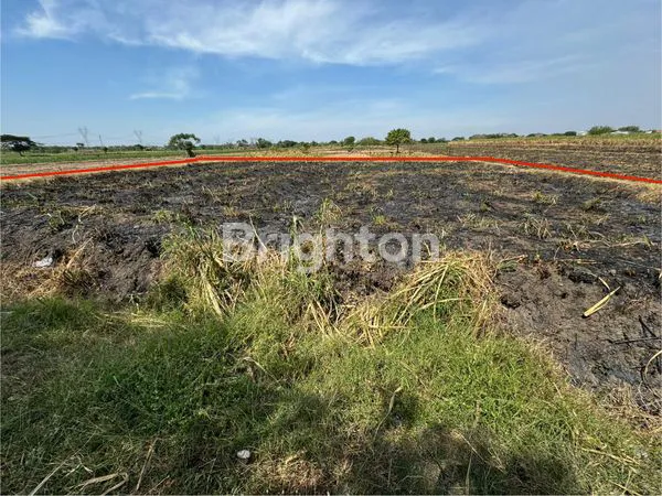 image JUAL TANAH DI MOJOKERTO (1)