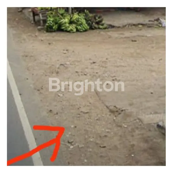 image TANAH KAVLING TB SIMATUPANG (1)