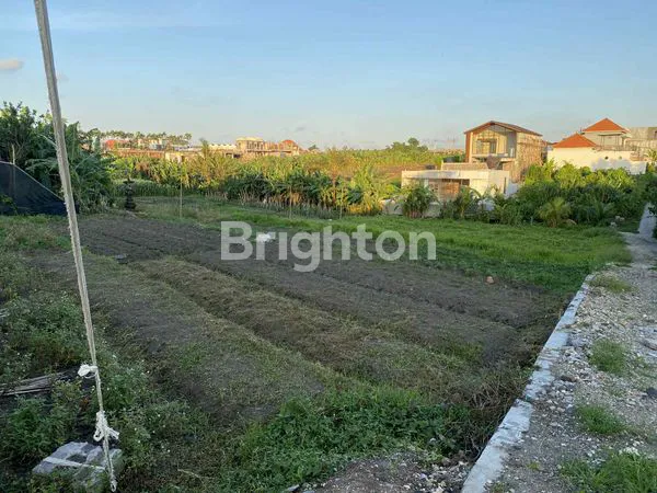 image DIJUAL TANAH DI TUMBAK BAYUH, MENGWI \UD83C\UDFE1\UD83C\UDF3F (1)