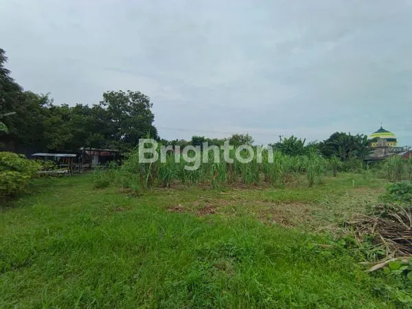 image TANAH SELUAS ±1HA DI PERCUT SEI TUAN (6)