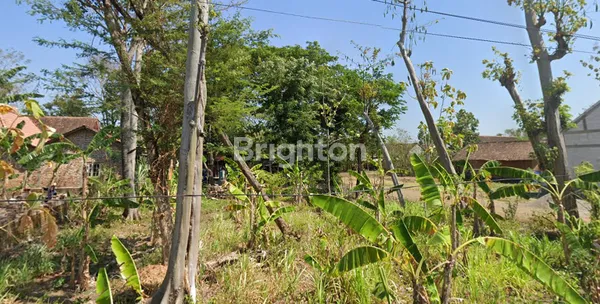 image JUAL TANAH DI PONOROGO KOTA (4)