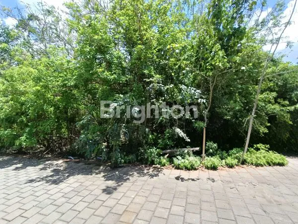 image TANAH LONG LEASE 25 TAHUN, MINIMAL 5 ARE, LUAS TOTAL 15 ARE.  KAWASAN VILLAS DI LABUAN SAIT ULUWATU HANYA 4 MENIT DARI PANTAI PADANG-PADANG (8)