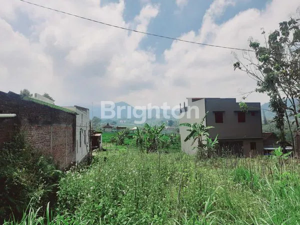 image INVESTASI TANAH DEPAN PONPES AL AZZAR (5)