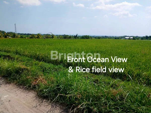 image TANAH DIJUAL VIEW LAUT DAN SAWAH DEKAT SOORI BALI HOTEL DAN PANTAI KELATING BALI (2)