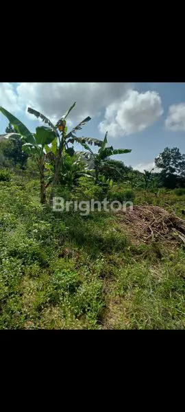 image √ DIJUAL TANAH BERLOKASIKAN DI JALAN PERSATUAN MANGGAR  (2)