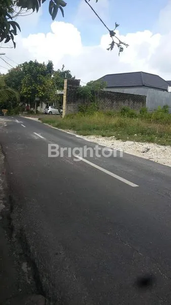 image TANAH 33ARE SHM LOKASI EMAS BADUNG (3)