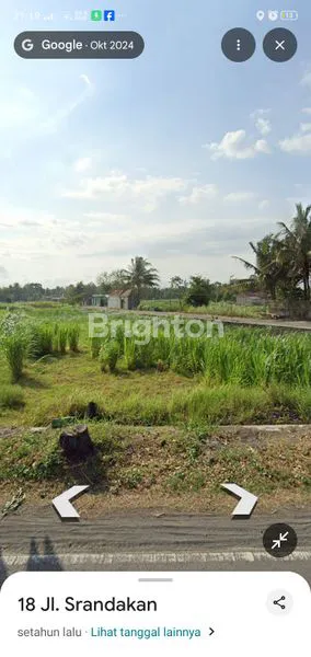 image PELUANG EMAS! JUAL TANAH SAWAH PRODUKTIF DI PINGGIR JALAN NASIONAL (2)