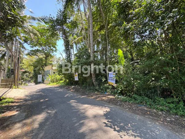 image DIJUAL TANAH JALAN UTAMA UBUD BALI (6)