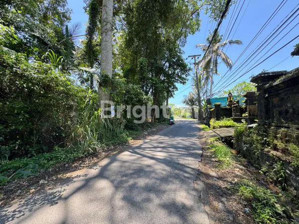 DIJUAL TANAH JALAN UTAMA UBUD BALI
