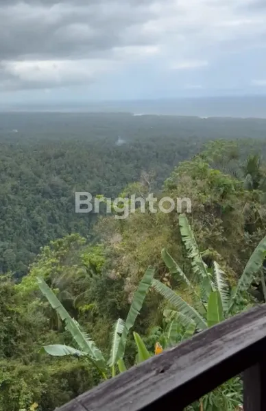 image EXCLUSIVE 2-HECTARE TRIPLE VIEW RESORT LAND IN TABANAN, BALI (HOTEL LICENSE READY) (1)