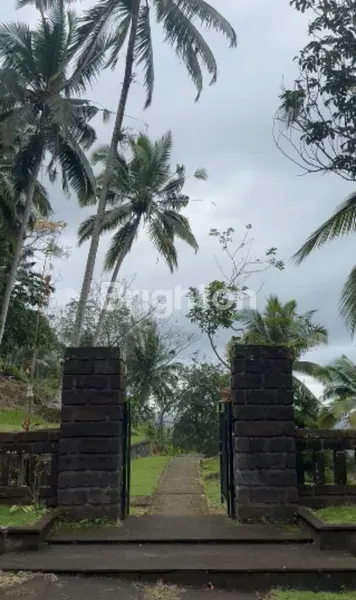 image EXCLUSIVE 2-HECTARE TRIPLE VIEW RESORT LAND IN TABANAN, BALI (HOTEL LICENSE READY) (5)
