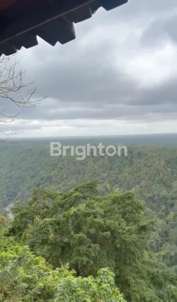 image EXCLUSIVE 2-HECTARE TRIPLE VIEW RESORT LAND IN TABANAN, BALI (HOTEL LICENSE READY) (8)