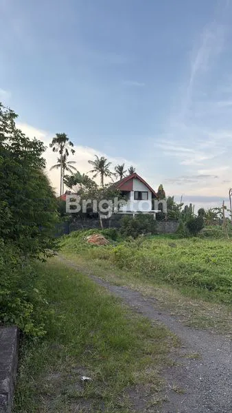 image VILLA LUAS TANAH 10 ARE DEKAT PANTAI PURNAMA (3)