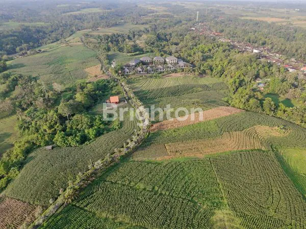 image DIJUAL TANAH SHM 27 ARE PERUNTUKAN VILLA JARAK 5 MENIT DARI PANTAI DI SELEMADEG TABANAN (1)