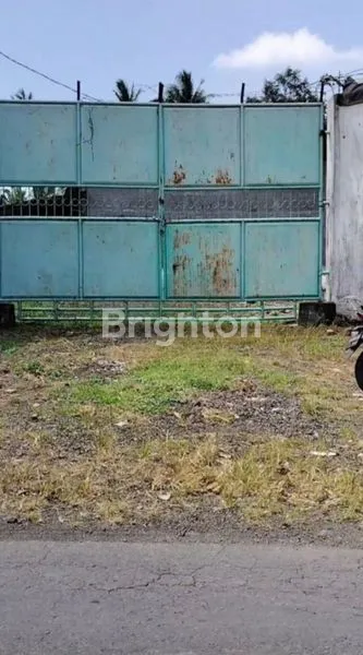 image GUDANG KAOTAN BANYUWANGI (1)