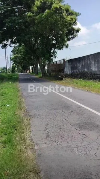 image GUDANG KAOTAN BANYUWANGI (2)