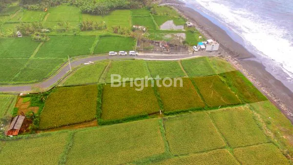 image TANAH DI KLOTOK KLUNGKUNG (1)