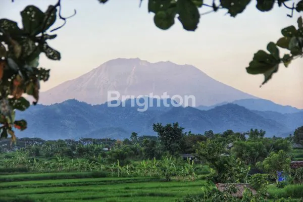 image TANAH DI KLOTOK KLUNGKUNG (2)