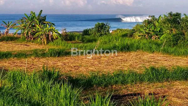 image TANAH DI KLOTOK KLUNGKUNG (4)