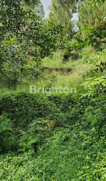 image TANAH SHM SIAP VILLA DI DAGO BANDUNG (2)