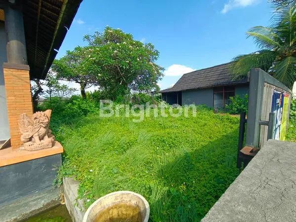 image TANAH DI BYPASS SANUR (1)