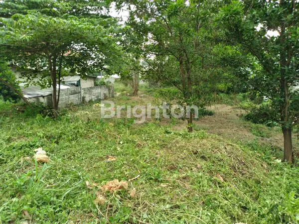 image HOT DEAL! TANAH SHM SERPONG KADEMANGAN 1.200 M² – LOKASI STRATEGIS, HARGA NEGO (3)