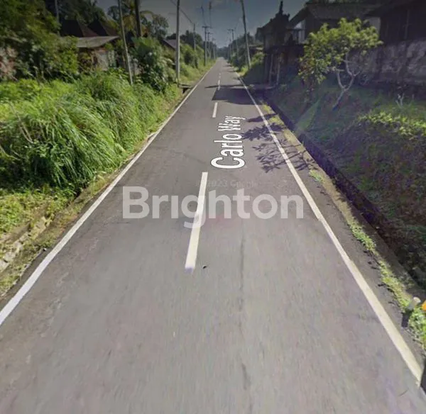 image TANAH STRATEGIS DI NEW CARLO WAY, SANDING – TAMPAKSIRING, GIANYAR, UBUD (3)