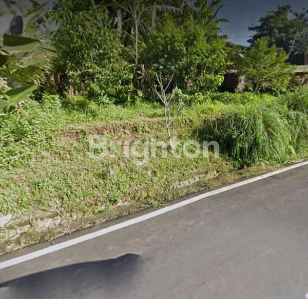 TANAH STRATEGIS DI NEW CARLO WAY, SANDING – TAMPAKSIRING, GIANYAR, UBUD