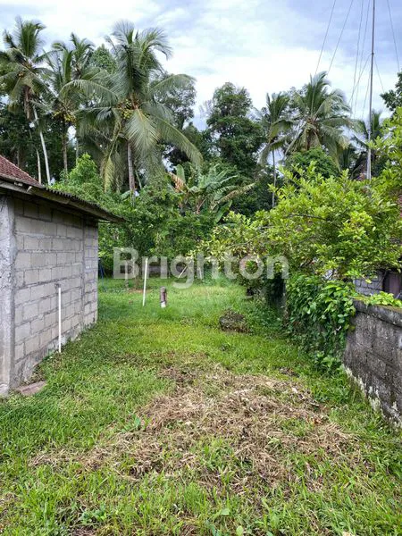 image TANAH STRATEGIS DI NEW CARLO WAY, SANDING – TAMPAKSIRING, GIANYAR, UBUD (2)