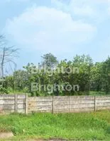 Screenshot 20251003 133457 Brighton