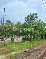 Screenshot 20251003 133506 Brighton