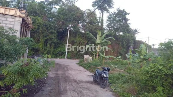 image SEGERA DIJUAL TANAH KAVLING STRATEGIS KERAMAS GIANYAR (2)