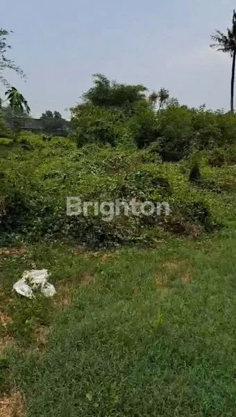 image TANAH LUAS 6.547M² DI JALAN RAYA KARAWANG (7)