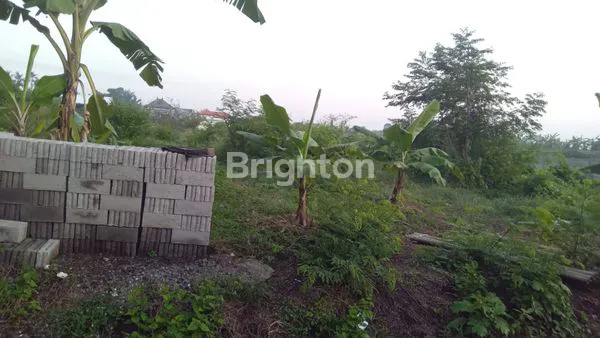 image TANAH KAVLING SIAP BANGUN DI KERAMAS – 2 MENIT KE PROF. DR. IDA BAGUS MANTRA (2)