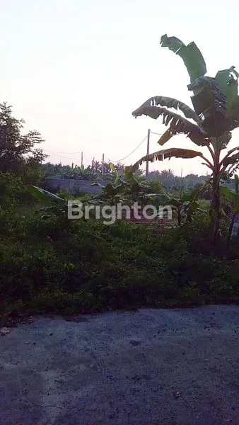 image TANAH KAVLING SIAP BANGUN DI KERAMAS – 2 MENIT KE PROF. DR. IDA BAGUS MANTRA (1)