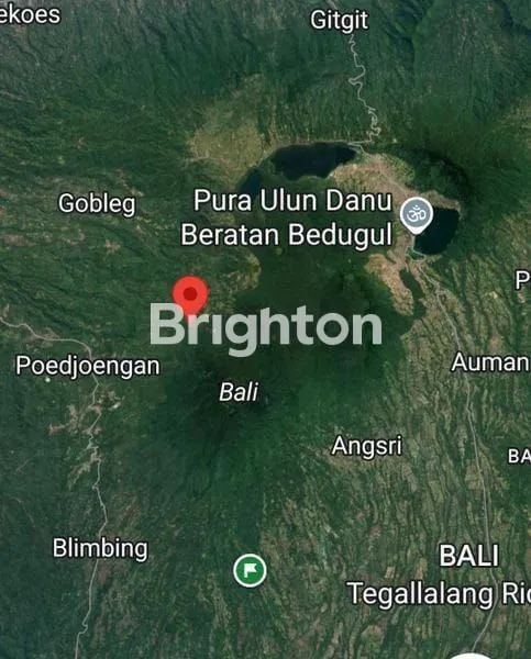 image INVESTASI KEBUN PRODUKTIF 4 HA VIEW GUNUNG & LAUT DI GESING BULELENG (1)